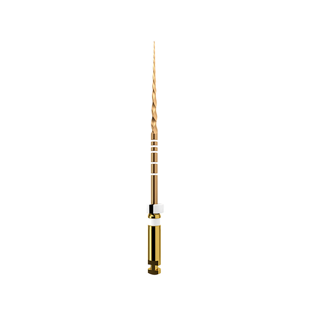 ProTaper GOLD 21 mm S2, 6 stk.
