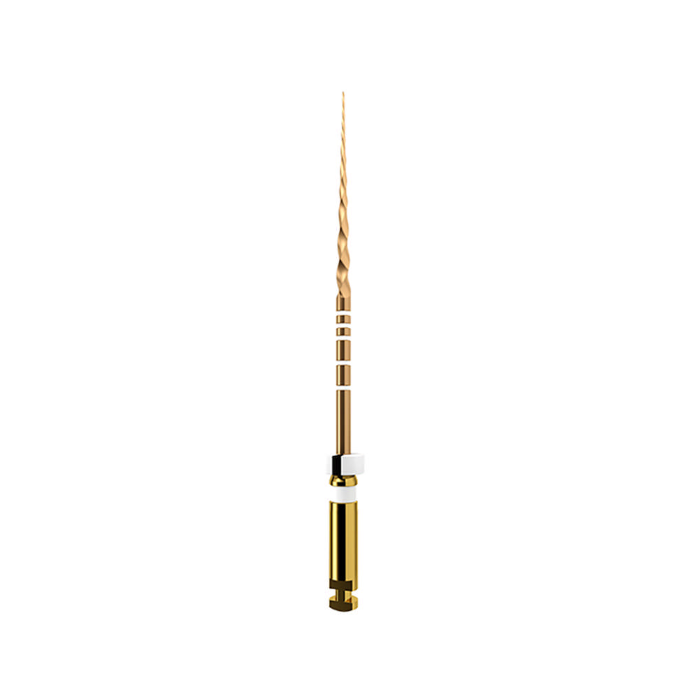 ProTaper GOLD 31 mm S2, 6 stk.