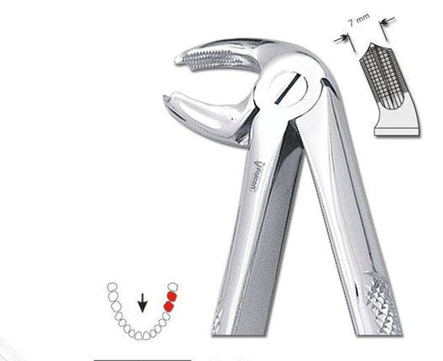 Ekstraktionstang nr. 24, molar UK VS