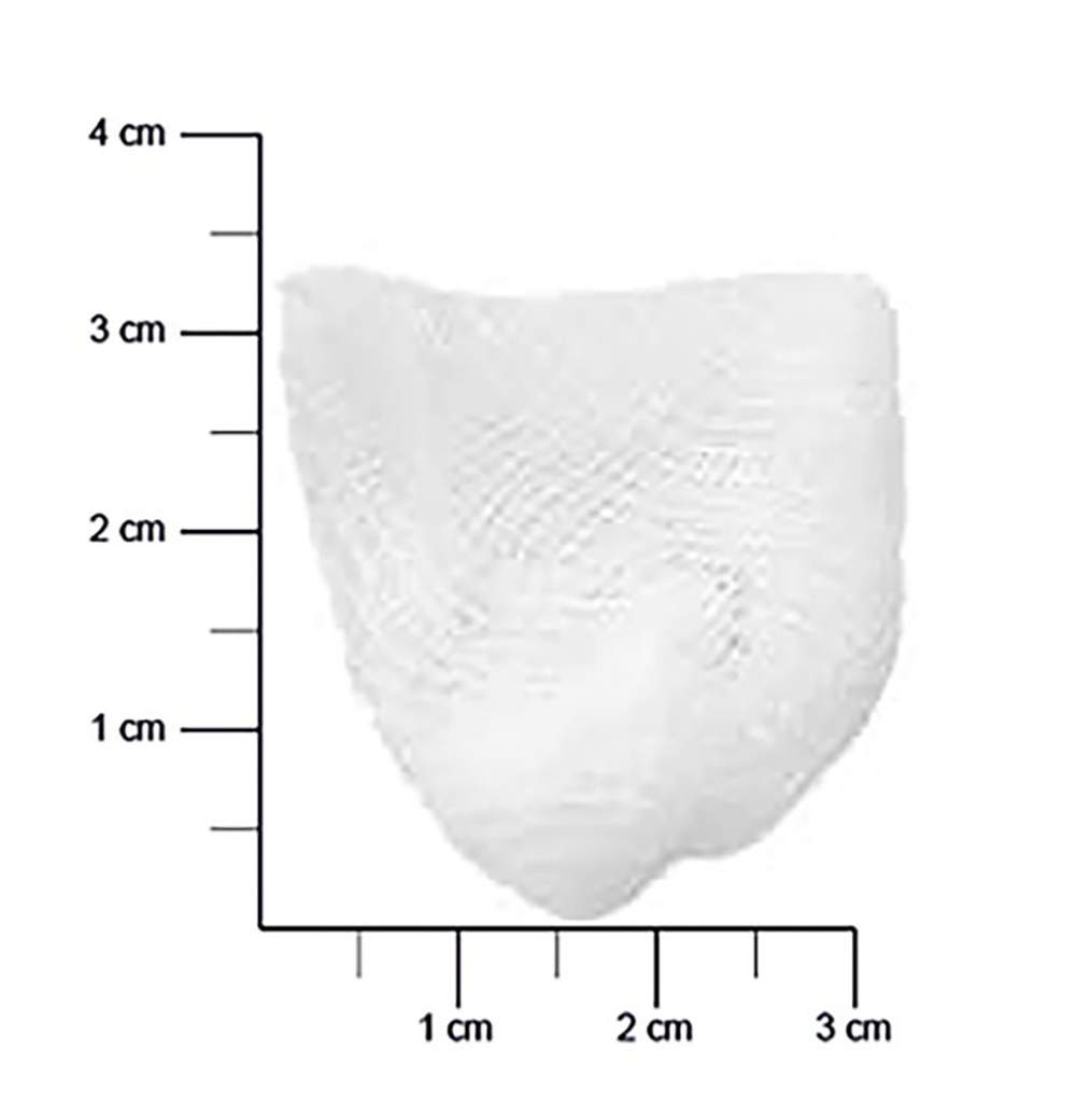 M+W Select gazetamponer, Str. 3 valnød, 500 stk.