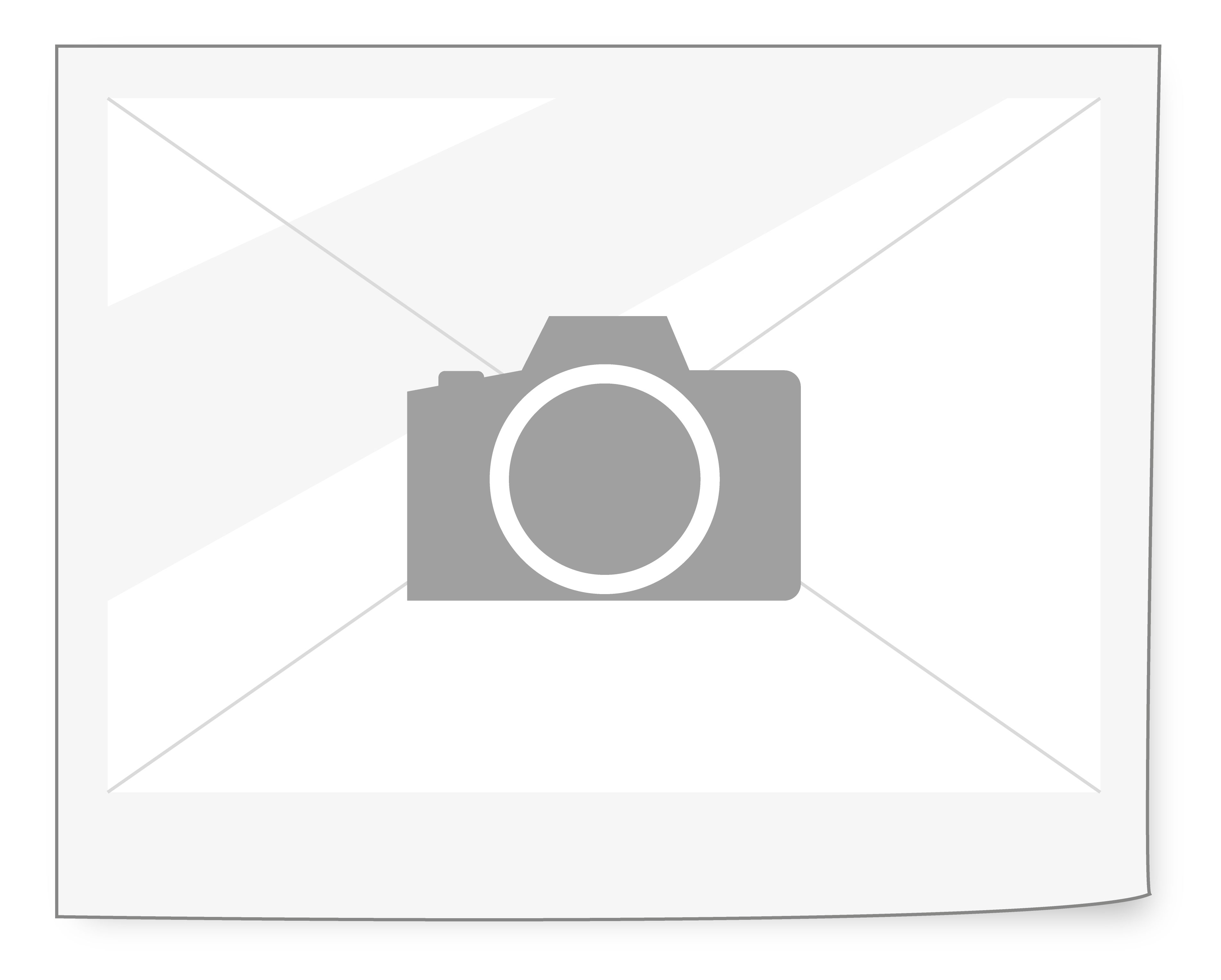 AH Plus Bioceramic Sealer startsæt